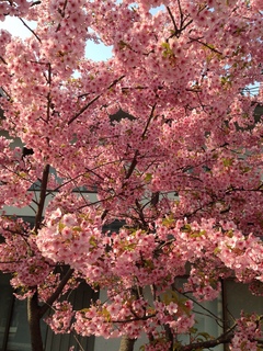 20140305 -a.jpg